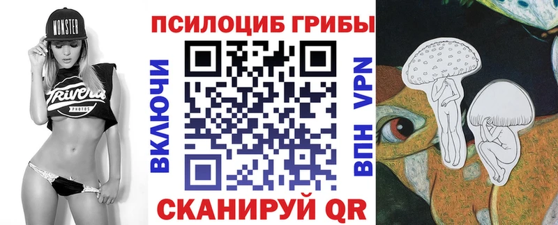 Галлюциногенные грибы Psilocybine cubensis  купить закладку  Куртамыш 